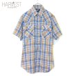 画像1: 80s Levi`s Half Check Western Shirts (1)