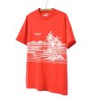 画像1: Hanes ヘインズ ハワイ プリントTシャツ 【Lサイズ】 (1)